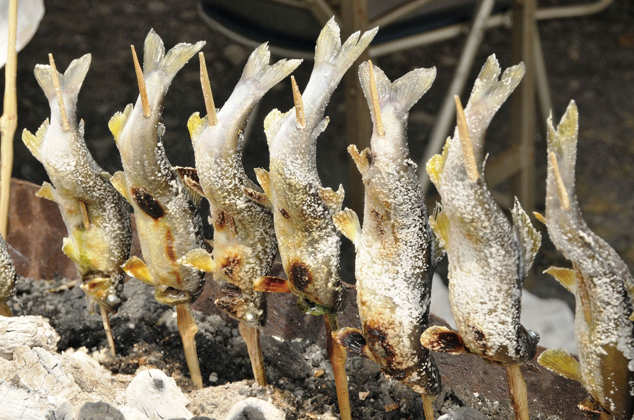 豊かな自然で育まれた食べ物
