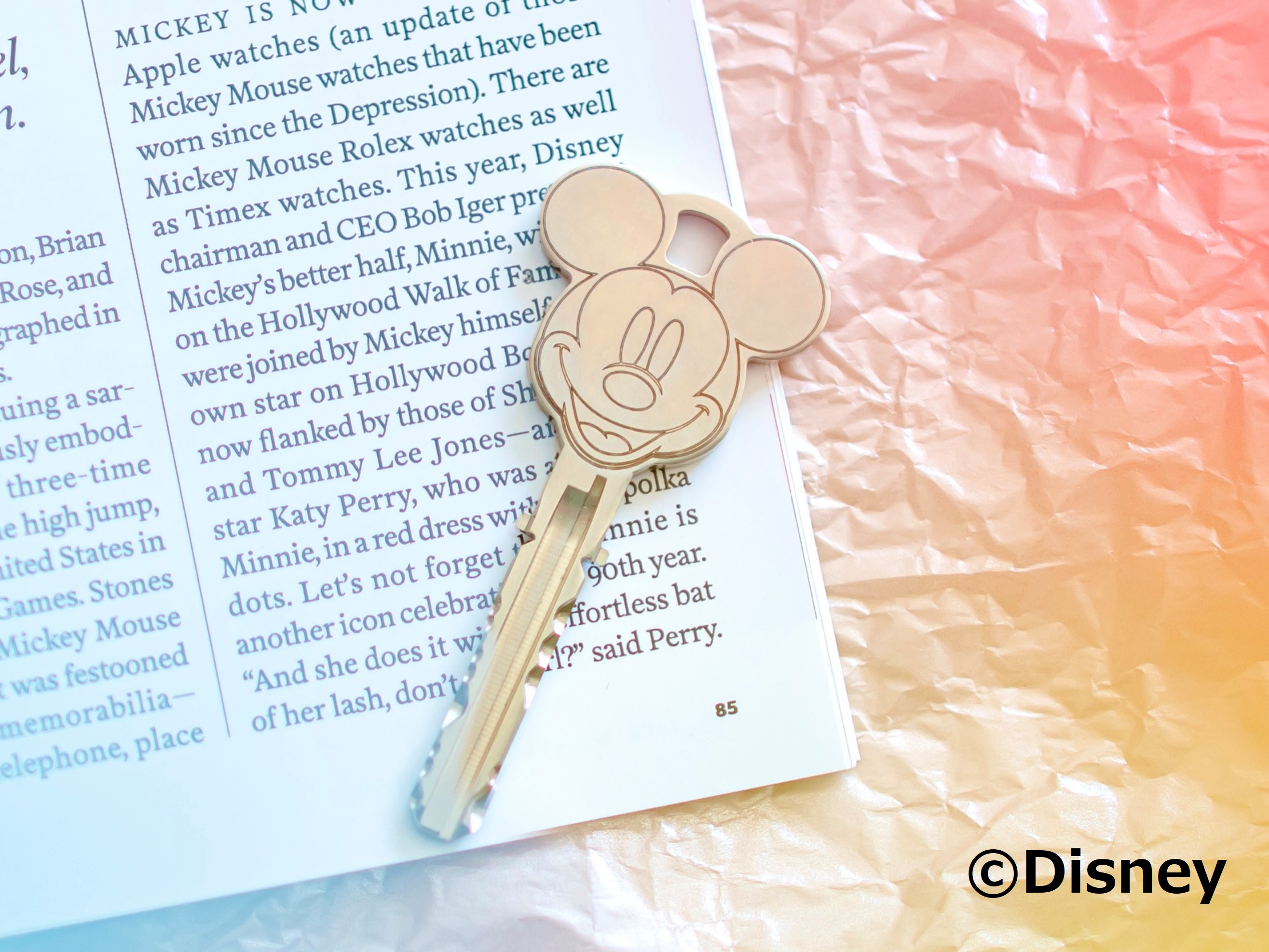 ミッキーデザイン キー,キービジュアル