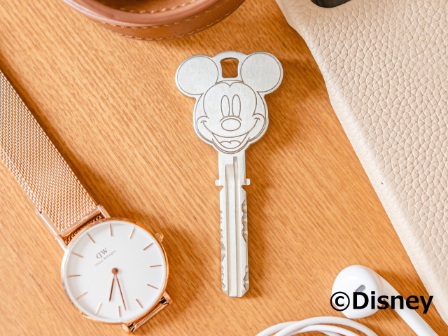ミッキーデザインキー,キービジュアル